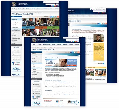 Example Image of PTSD Website Design