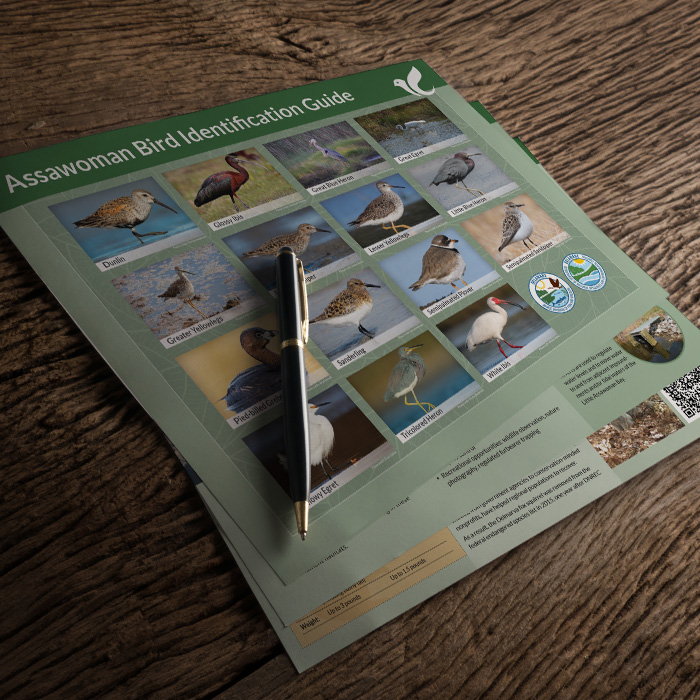 portfolio item